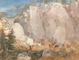 Caley Crags with Deer